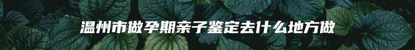 温州市做孕期亲子鉴定去什么地方做