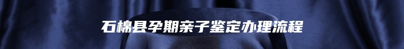 石棉县孕期亲子鉴定办理流程