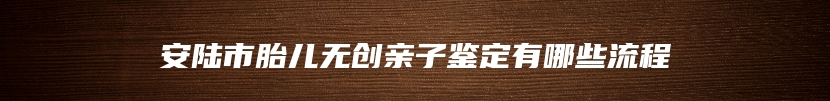 安陆市胎儿无创亲子鉴定有哪些流程