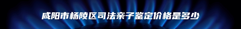 咸阳市杨陵区司法亲子鉴定价格是多少