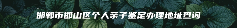 邯郸市邯山区个人亲子鉴定办理地址查询