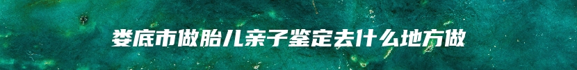 娄底市做胎儿亲子鉴定去什么地方做