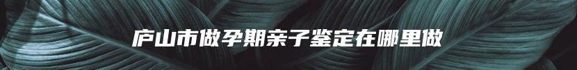 庐山市做孕期亲子鉴定在哪里做