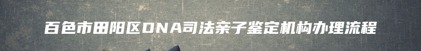 百色市田阳区DNA司法亲子鉴定机构办理流程