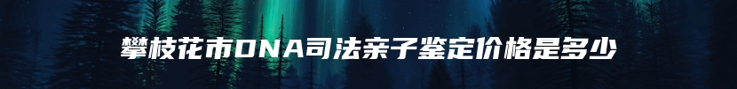 攀枝花市DNA司法亲子鉴定价格是多少