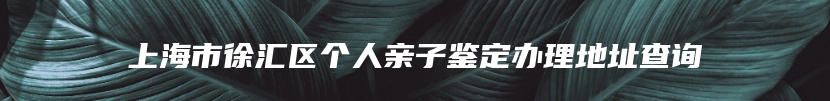 上海市徐汇区个人亲子鉴定办理地址查询