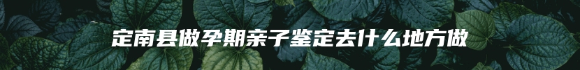 定南县做孕期亲子鉴定去什么地方做