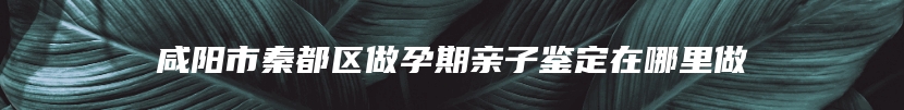 咸阳市秦都区做孕期亲子鉴定在哪里做