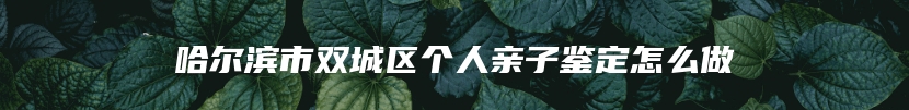 哈尔滨市双城区个人亲子鉴定怎么做