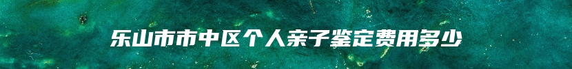 乐山市市中区个人亲子鉴定费用多少