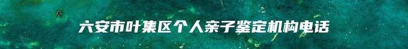 六安市叶集区个人亲子鉴定机构电话