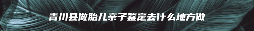 青川县做胎儿亲子鉴定去什么地方做