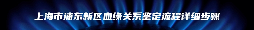 上海市浦东新区血缘关系鉴定流程详细步骤