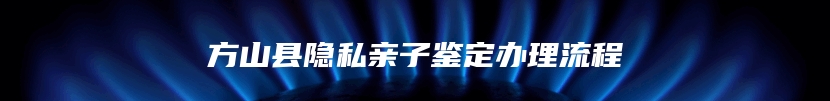 方山县隐私亲子鉴定办理流程