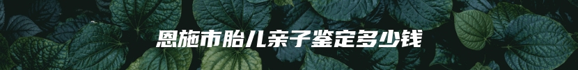 恩施市胎儿亲子鉴定多少钱