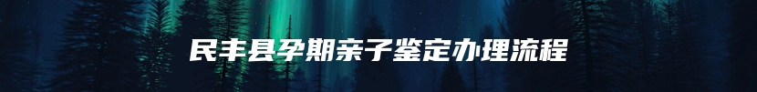 民丰县孕期亲子鉴定办理流程