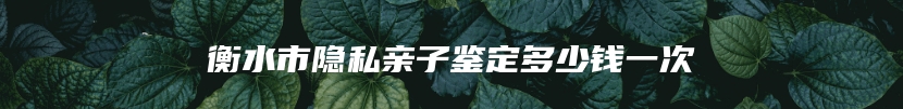 衡水市隐私亲子鉴定多少钱一次