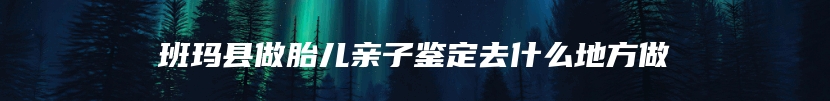 班玛县做胎儿亲子鉴定去什么地方做