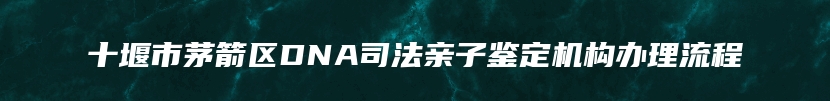 十堰市茅箭区DNA司法亲子鉴定机构办理流程