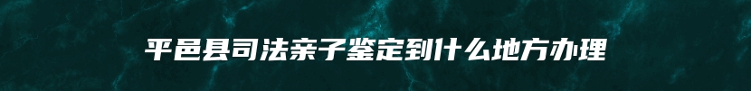 平邑县司法亲子鉴定到什么地方办理