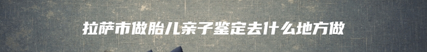 拉萨市做胎儿亲子鉴定去什么地方做