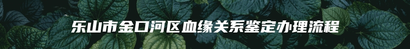 乐山市金口河区血缘关系鉴定办理流程