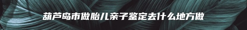 葫芦岛市做胎儿亲子鉴定去什么地方做