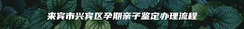 来宾市兴宾区孕期亲子鉴定办理流程