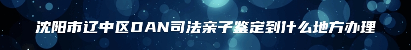 沈阳市辽中区DAN司法亲子鉴定到什么地方办理