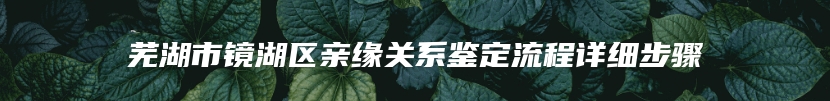 芜湖市镜湖区亲缘关系鉴定流程详细步骤