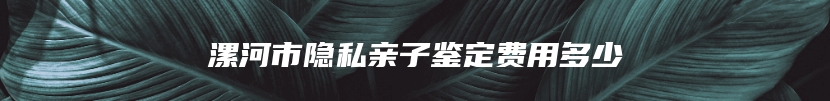 漯河市隐私亲子鉴定费用多少