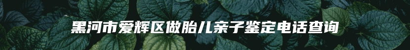 黑河市爱辉区做胎儿亲子鉴定电话查询