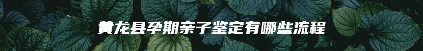 黄龙县孕期亲子鉴定有哪些流程