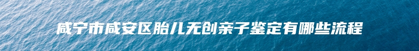 咸宁市咸安区胎儿无创亲子鉴定有哪些流程