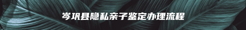 岑巩县隐私亲子鉴定办理流程