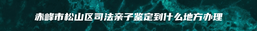 赤峰市松山区司法亲子鉴定到什么地方办理