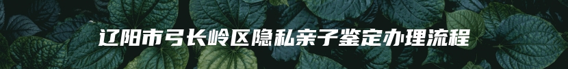辽阳市弓长岭区隐私亲子鉴定办理流程
