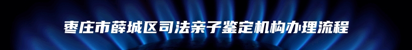 枣庄市薛城区司法亲子鉴定机构办理流程