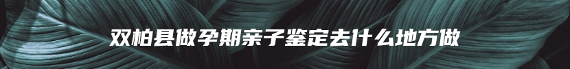 双柏县做孕期亲子鉴定去什么地方做