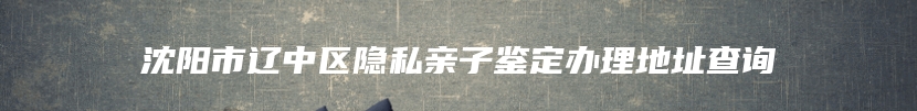 沈阳市辽中区隐私亲子鉴定办理地址查询