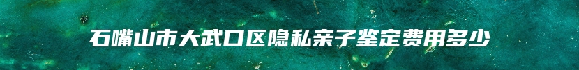 石嘴山市大武口区隐私亲子鉴定费用多少