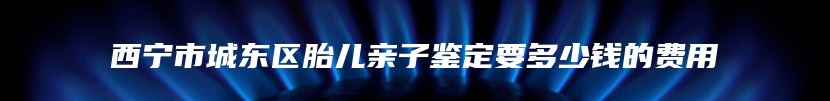 西宁市城东区胎儿亲子鉴定要多少钱的费用