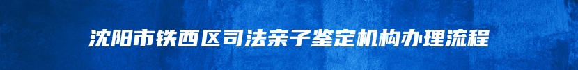 沈阳市铁西区司法亲子鉴定机构办理流程