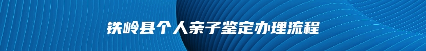 铁岭县个人亲子鉴定办理流程
