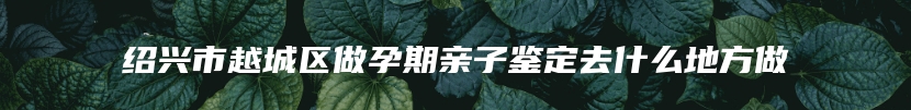 绍兴市越城区做孕期亲子鉴定去什么地方做