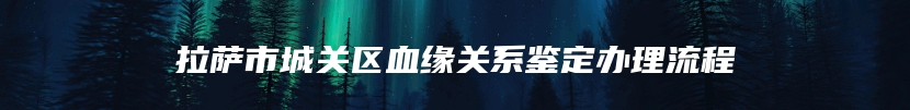 拉萨市城关区血缘关系鉴定办理流程