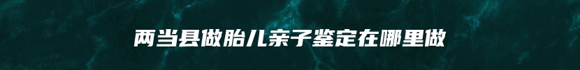 两当县做胎儿亲子鉴定在哪里做