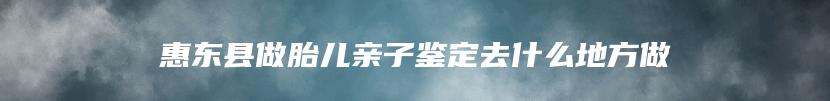 惠东县做胎儿亲子鉴定去什么地方做