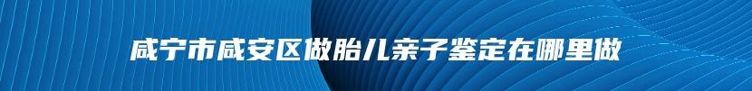 咸宁市咸安区做胎儿亲子鉴定在哪里做