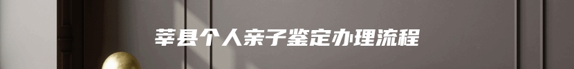 莘县个人亲子鉴定办理流程